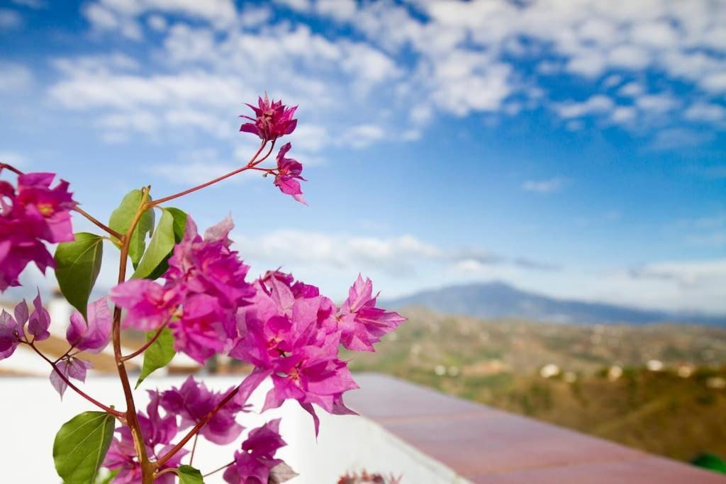 הוילה Cutar Rooftop Terrace & Panoramic Mountain View'S מראה חיצוני תמונה